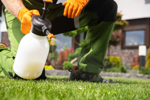 Best Local Pest Control Services  in Mcdonald, PA