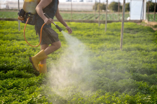 Best Wildlife Control Services  in Mcdonald, PA