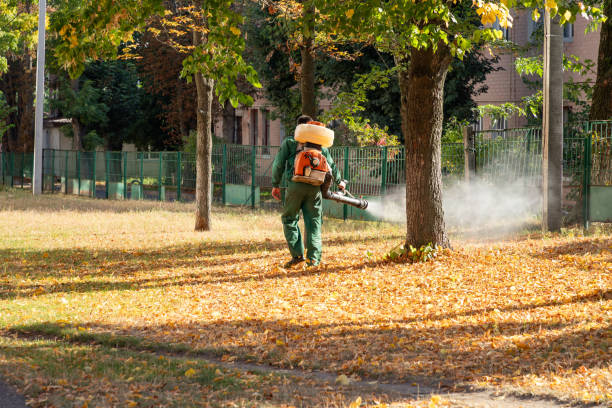 Best Emergency Pest Control  in Mcdonald, PA