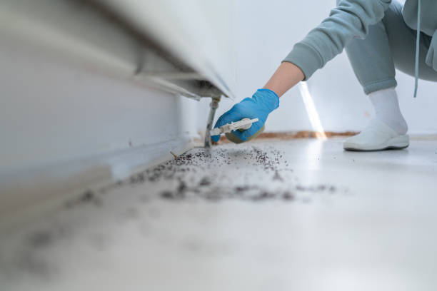Best Ant Control Services  in Mcdonald, PA